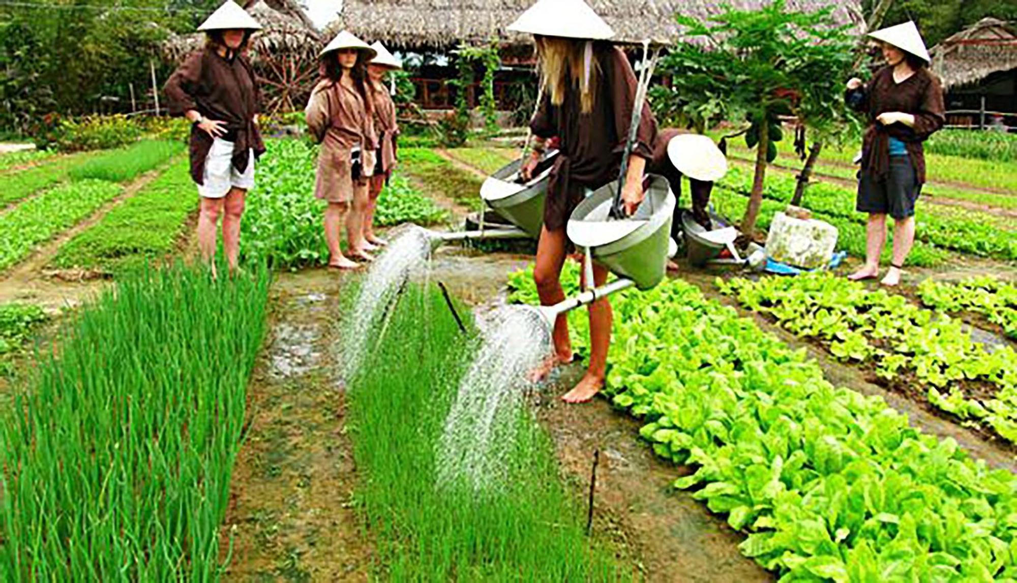 Hoi An Ocean Front Hotel Екстер'єр фото